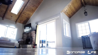 BondageLife	Rachel Greyhound - Greyhound Cleaning Service