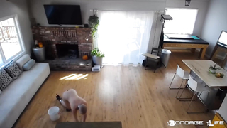 BondageLife	Rachel Greyhound - Greyhound Floor Cleaning