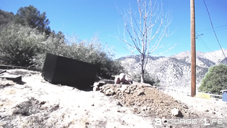 BondageLife	Rachel Greyhound - Hard Labor Digging Part 4 (Painting Edition)