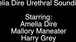 Azureskyfilms  Amelia Dire Urethral Sounding 1