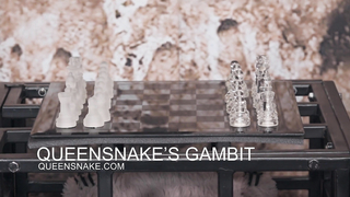 QUEENSNAKE’S GAMBIT