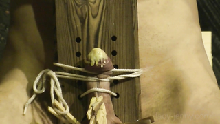 Lady-Jenny	Cock Pillory