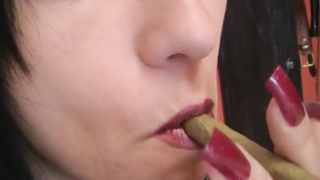 Lady-Jenny	Jenny and the Cigar