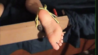 The PAIN files	am feet