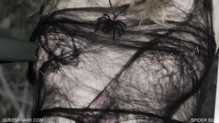 QueenSnake	spider silk