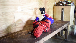 Shiny Bound	Brenda Spidergirl 2