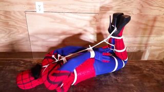 Shiny Bound	Brenda Spidergirl 2