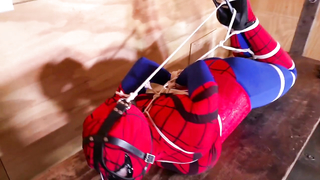 Shiny Bound	Brenda Spidergirl 2