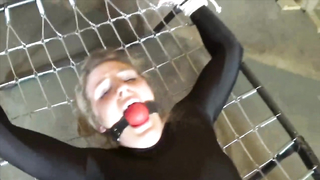 Shiny Bound	Kendra Lynn Sentance Full Edit