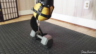 Shiny Bound	Luna LivingInverted
