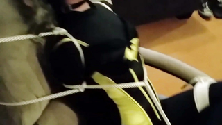 Shiny Bound - Rei - Batgirl Caught