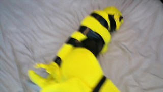 Shiny Bound - Simone - Bumblebee Buzzed