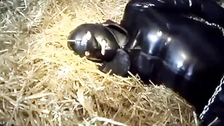 Absurdum Produktions	Das Spanner-Schwein scene 1