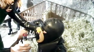Absurdum Produktions	Das Spanner-Schwein scene 2