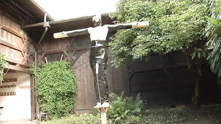 Alterpic	2015-Crucifix
