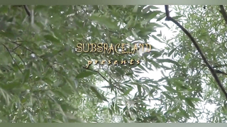 SUBSPACELAND Outdoor Session
