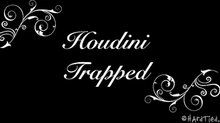 HARDTIED - ﻿﻿﻿Tracey Sweet Houdini Trapped