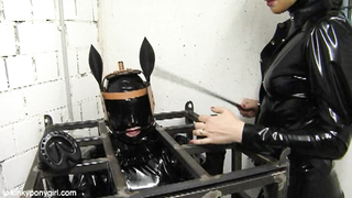 KINKY PONYGIRL - AR-P-Caged-1